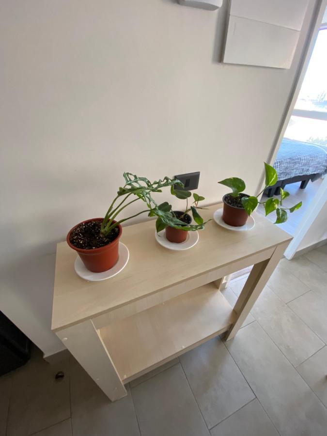 Departamento Central Valdivia Zewnętrze zdjęcie